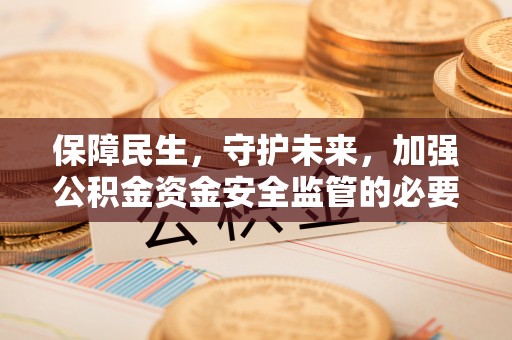 湖滨保障民生，守护未来，加强公积金资金安全监管的必要性与实践