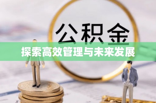 湖滨探索高效管理与未来发展