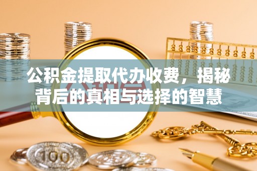 湖滨公积金提取代办收费，揭秘背后的真相与选择的智慧