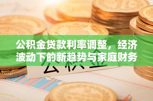 湖滨公积金贷款利率调整，经济波动下的新趋势与家庭财务规划