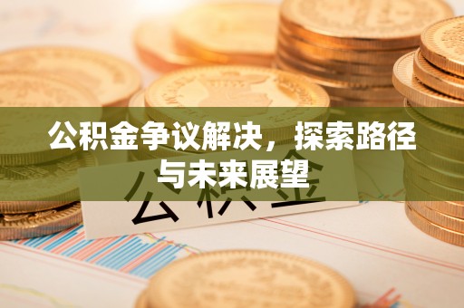 湖滨公积金争议解决，探索路径与未来展望