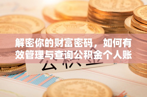 湖滨解密你的财富密码，如何有效管理与查询公积金个人账户信息