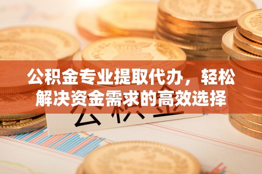 湖滨公积金专业提取代办，轻松解决资金需求的高效选择