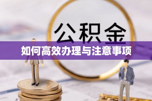 湖滨如何高效办理与注意事项