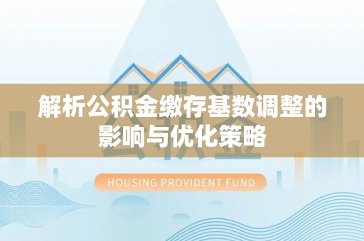 湖滨解析公积金缴存基数调整的影响与优化策略
