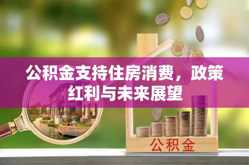 湖滨公积金支持住房消费，政策红利与未来展望