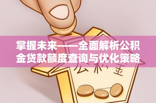 湖滨掌握未来——全面解析公积金贷款额度查询与优化策略