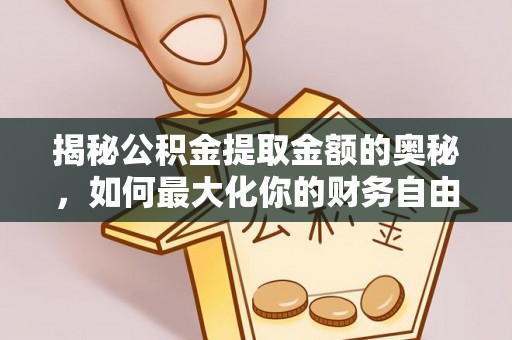 湖滨揭秘公积金提取金额的奥秘，如何最大化你的财务自由