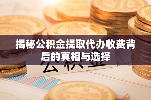 湖滨揭秘公积金提取代办收费背后的真相与选择