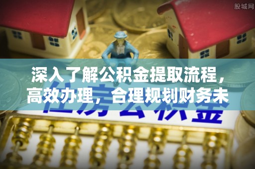 湖滨深入了解公积金提取流程，高效办理，合理规划财务未来