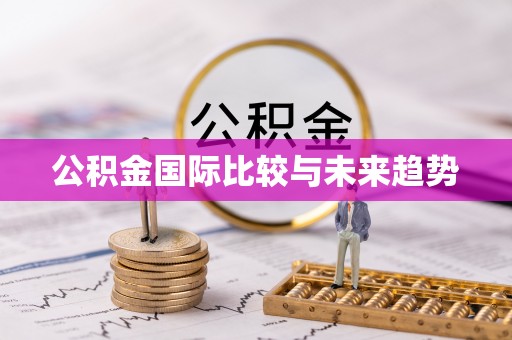 湖滨公积金国际比较与未来趋势