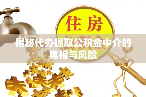 湖滨揭秘代办提取公积金中介的真相与风险