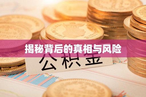 湖滨揭秘背后的真相与风险