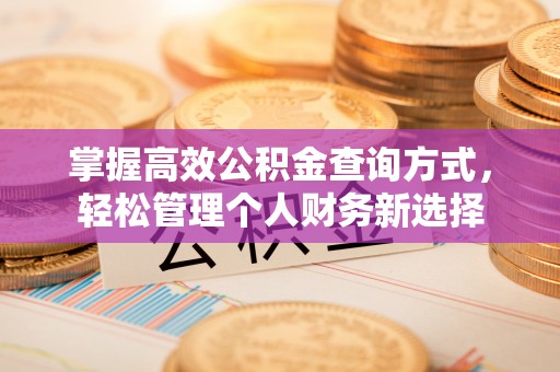 湖滨掌握高效公积金查询方式，轻松管理个人财务新选择