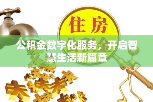 湖滨公积金数字化服务，开启智慧生活新篇章