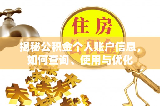 湖滨揭秘公积金个人账户信息，如何查询、使用与优化