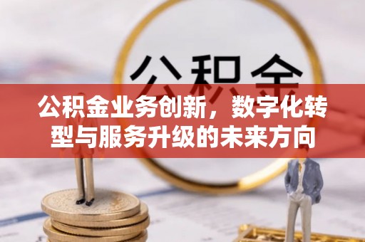 湖滨公积金业务创新，数字化转型与服务升级的未来方向