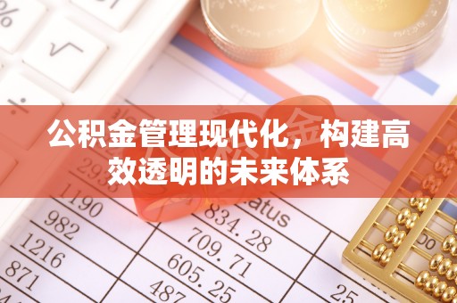 湖滨公积金管理现代化，构建高效透明的未来体系