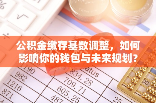 湖滨公积金缴存基数调整，如何影响你的钱包与未来规划？