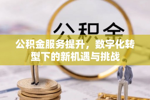 湖滨公积金服务提升，数字化转型下的新机遇与挑战