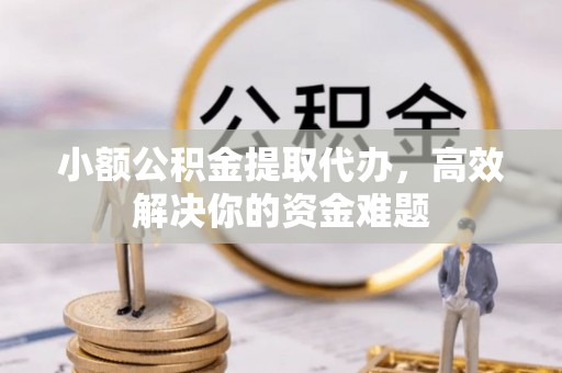湖滨小额公积金提取代办，高效解决你的资金难题