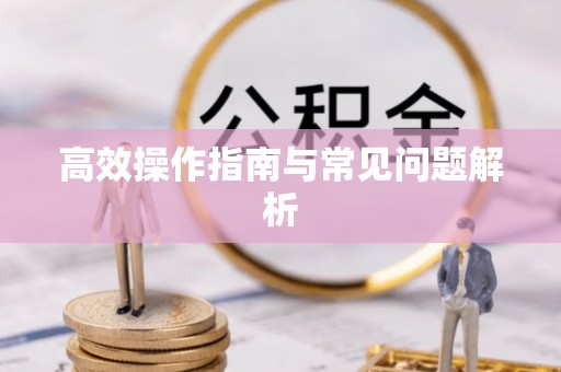 湖滨高效操作指南与常见问题解析