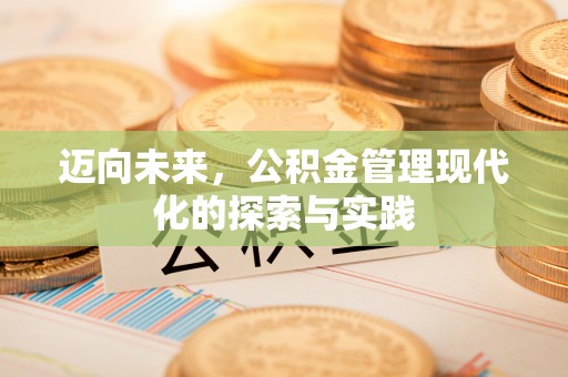 湖滨迈向未来，公积金管理现代化的探索与实践