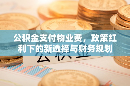湖滨公积金支付物业费，政策红利下的新选择与财务规划