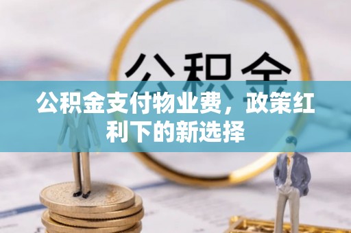 湖滨公积金支付物业费，政策红利下的新选择