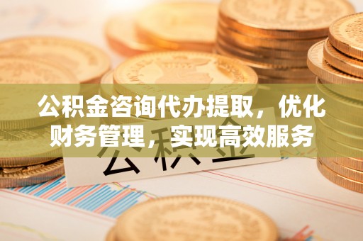 湖滨公积金咨询代办提取，优化财务管理，实现高效服务