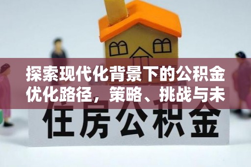 湖滨探索现代化背景下的公积金优化路径，策略、挑战与未来展望