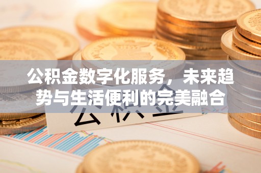 湖滨公积金数字化服务，未来趋势与生活便利的完美融合