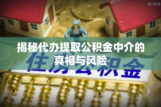 湖滨揭秘代办提取公积金中介的真相与风险