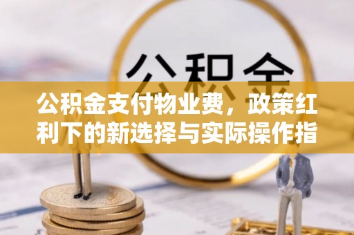 湖滨公积金支付物业费，政策红利下的新选择与实际操作指南