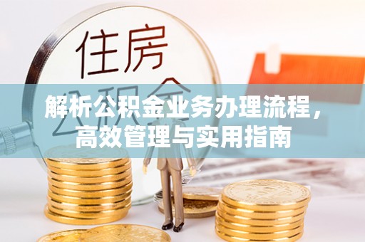 湖滨解析公积金业务办理流程，高效管理与实用指南