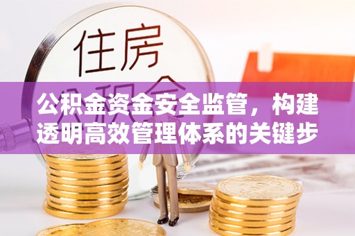 湖滨公积金资金安全监管，构建透明高效管理体系的关键步骤