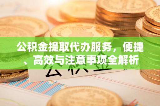 湖滨公积金提取代办服务，便捷、高效与注意事项全解析