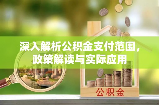 湖滨深入解析公积金支付范围，政策解读与实际应用