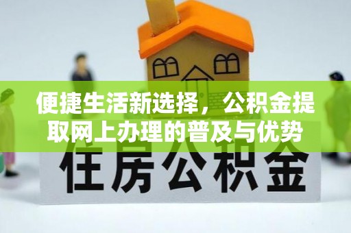 湖滨便捷生活新选择，公积金提取网上办理的普及与优势
