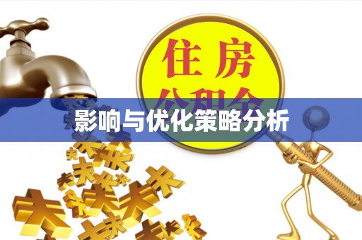 湖滨影响与优化策略分析