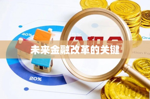 湖滨未来金融改革的关键