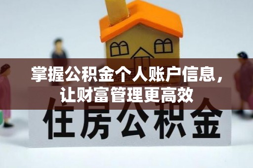 湖滨掌握公积金个人账户信息，让财富管理更高效