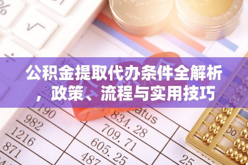 湖滨公积金提取代办条件全解析，政策、流程与实用技巧