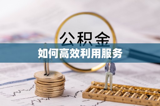 湖滨如何高效利用服务