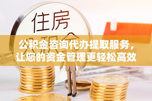 湖滨公积金咨询代办提取服务，让您的资金管理更轻松高效