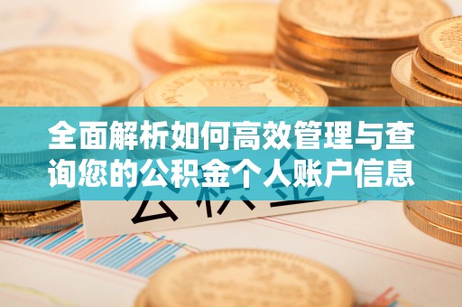 湖滨全面解析如何高效管理与查询您的公积金个人账户信息