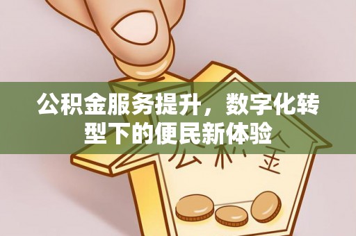 湖滨公积金服务提升，数字化转型下的便民新体验