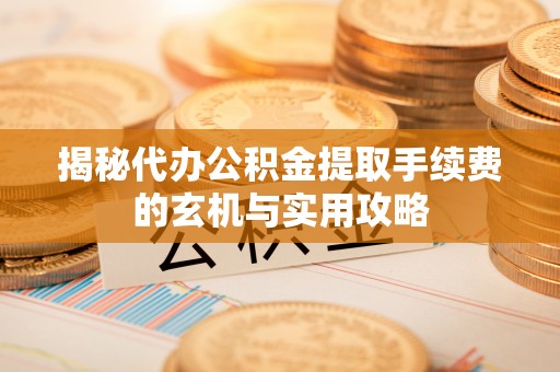 湖滨揭秘代办公积金提取手续费的玄机与实用攻略
