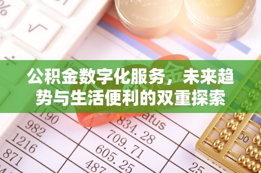 湖滨公积金数字化服务，未来趋势与生活便利的双重探索