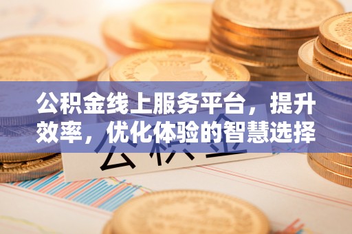 湖滨公积金线上服务平台，提升效率，优化体验的智慧选择